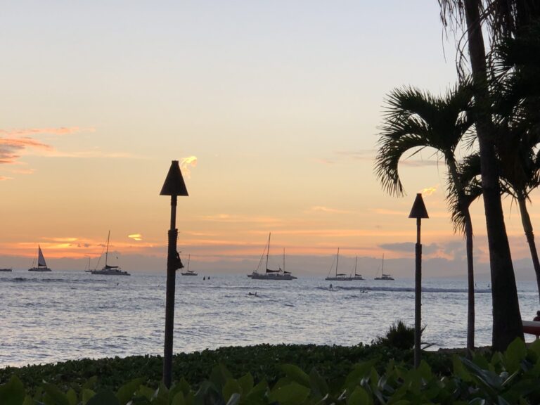 IMG 01302 Scaled 1 768x576