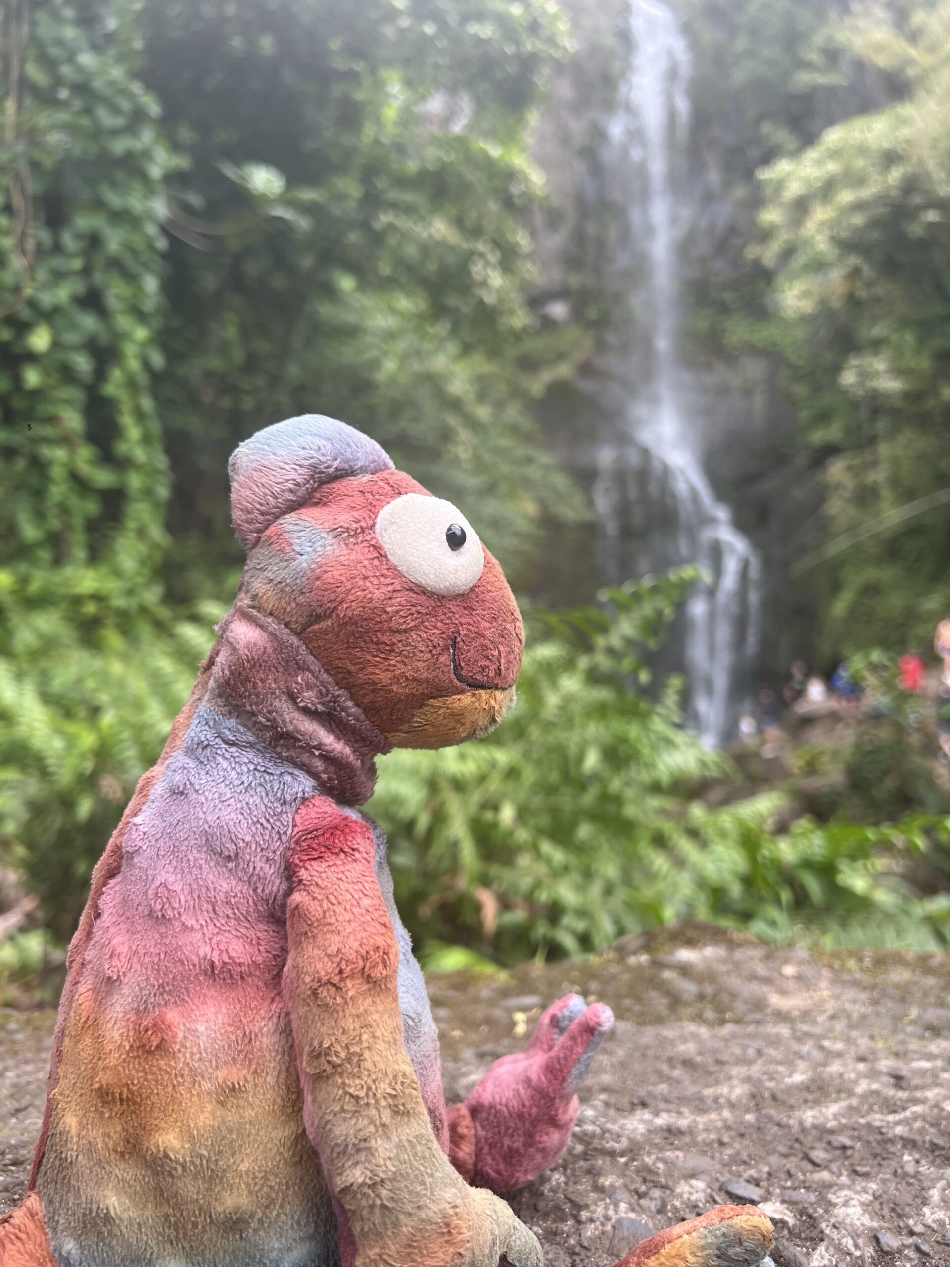 Kukui Waterfall Scaled 1