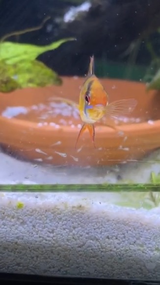 1d7b67bb 14bc 449b b921 c73978fe605e 4 5005 c